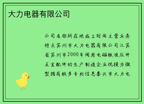 大力电器有限公司